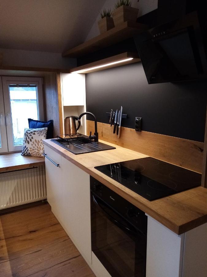 Apartman Jeseniky Karlovice  Buitenkant foto